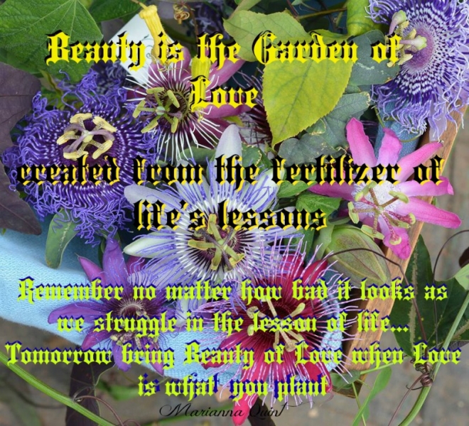 Flowers of Life