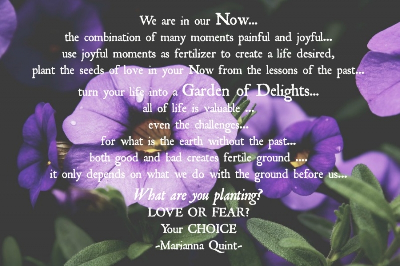 Garden of Delights